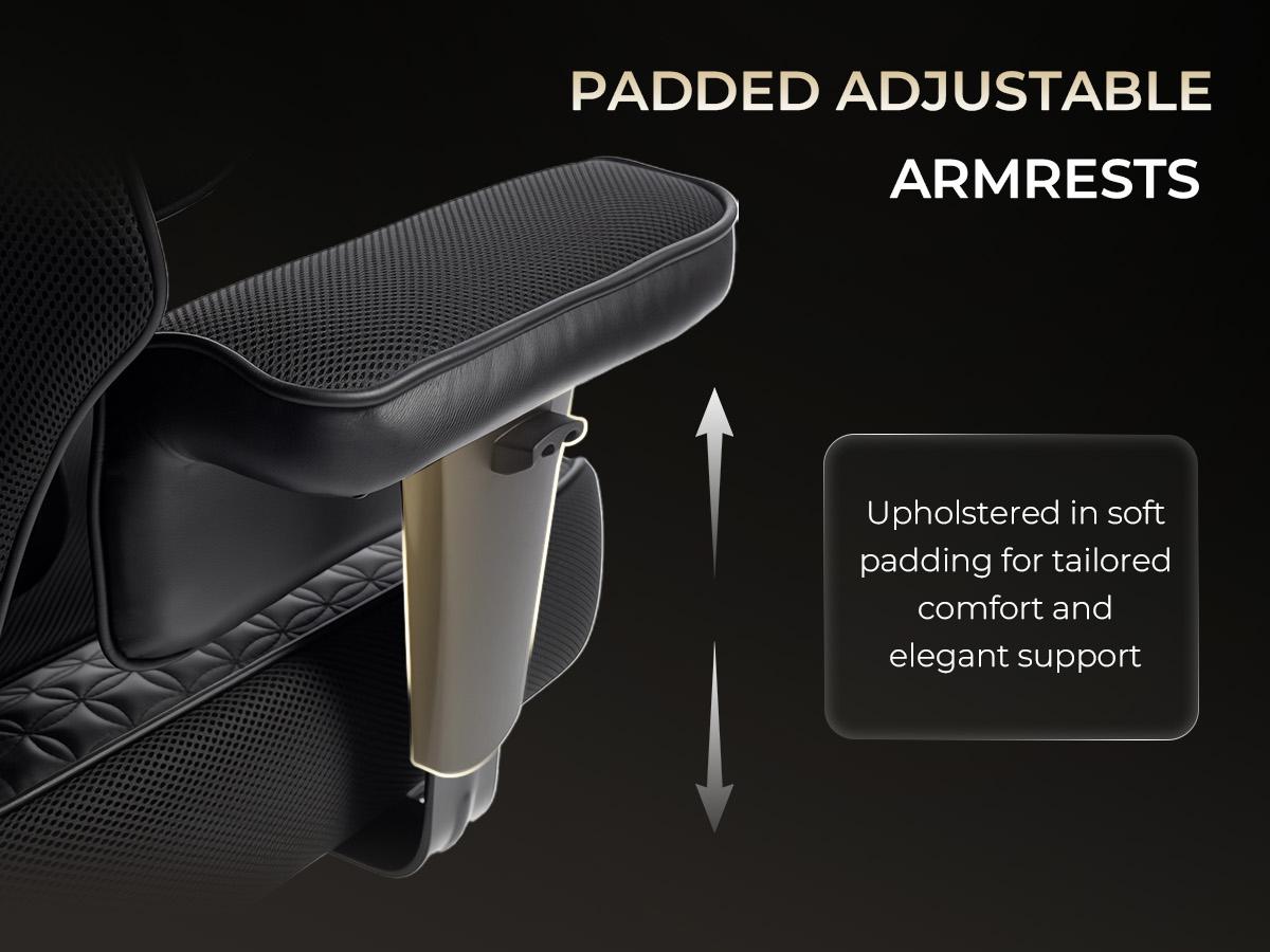 Dowinx Big and Tall Office Chair with Massage Lumbar Support,Executive Office Chair with Wide Thick Seat Cushion and Adjustable Armrest,Mesh Computer Gaming Chairs with Footrest (Black)