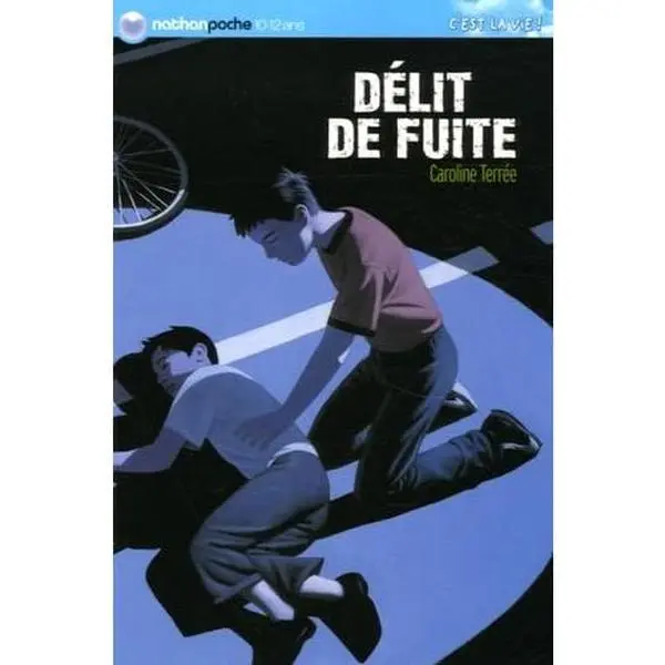 USED-DELIT DE FUITE by Caroline Terrée (Paperback)