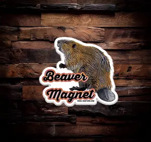 Beaver Magnet Sticker