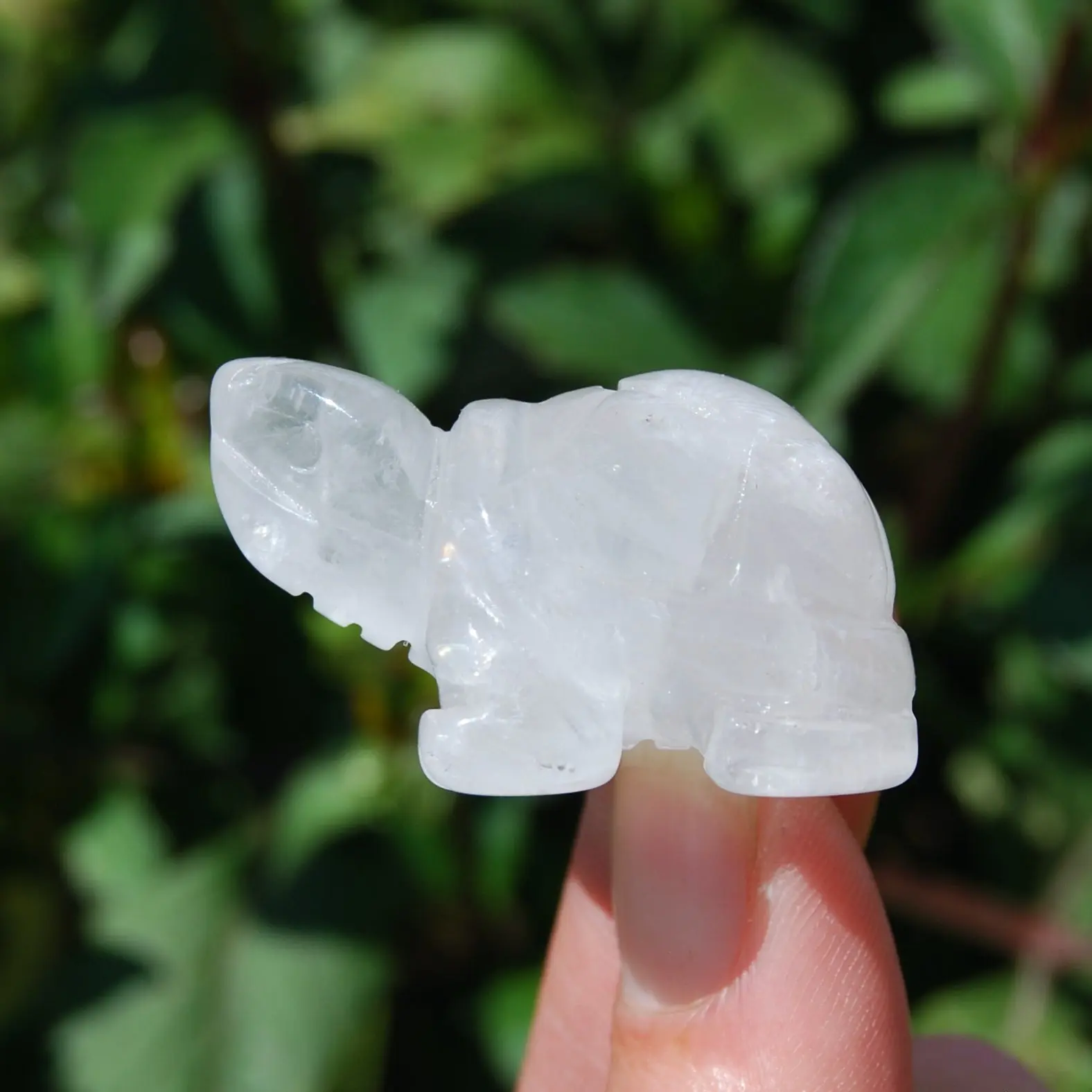 1.5in Clear Quartz Carved Crystal Turtle