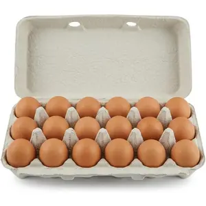 Paper Pulp Egg Cartons for 18 Eggs, Can Be Used for Crafting, Parts Storage and Easter, Pack of 15
