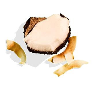 ALOHA Chocolate Protein Powder | 18g Plant Protein 15-Servings, 4g Sugar | Pea, Brown Rice & Pumpkin Seed | Certified USDA Organic, Vegan, Stevia-Free, Soy-Free | Rich & Creamy With MCT Oil Fitness Supplements Natural Supplements