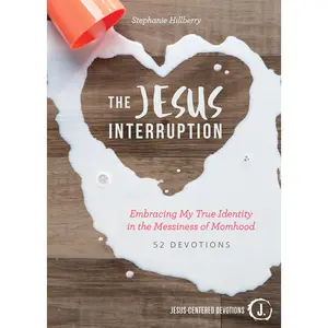 USED-The Jesus Interruption: Embracing My True Identity in the Messiness of Momhood by Hillberry, Stephanie (Hardcover)