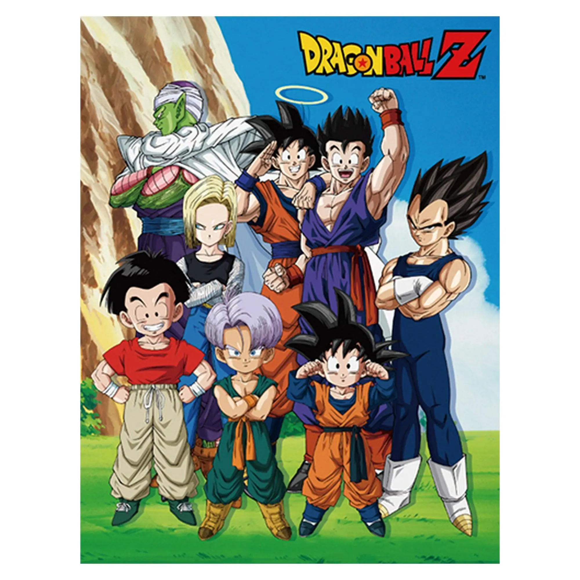 Dragon Ball Z - Group In Lawn Sublimation Throw Blanket 46"W x 60"H