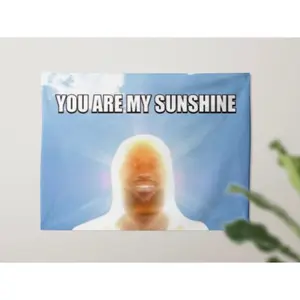 You Are My Sunshine - LeBron Meme Tapestry Poster Funny Gift Room Decor Joke Gift Decorative Goofy College Dorms Present Teens