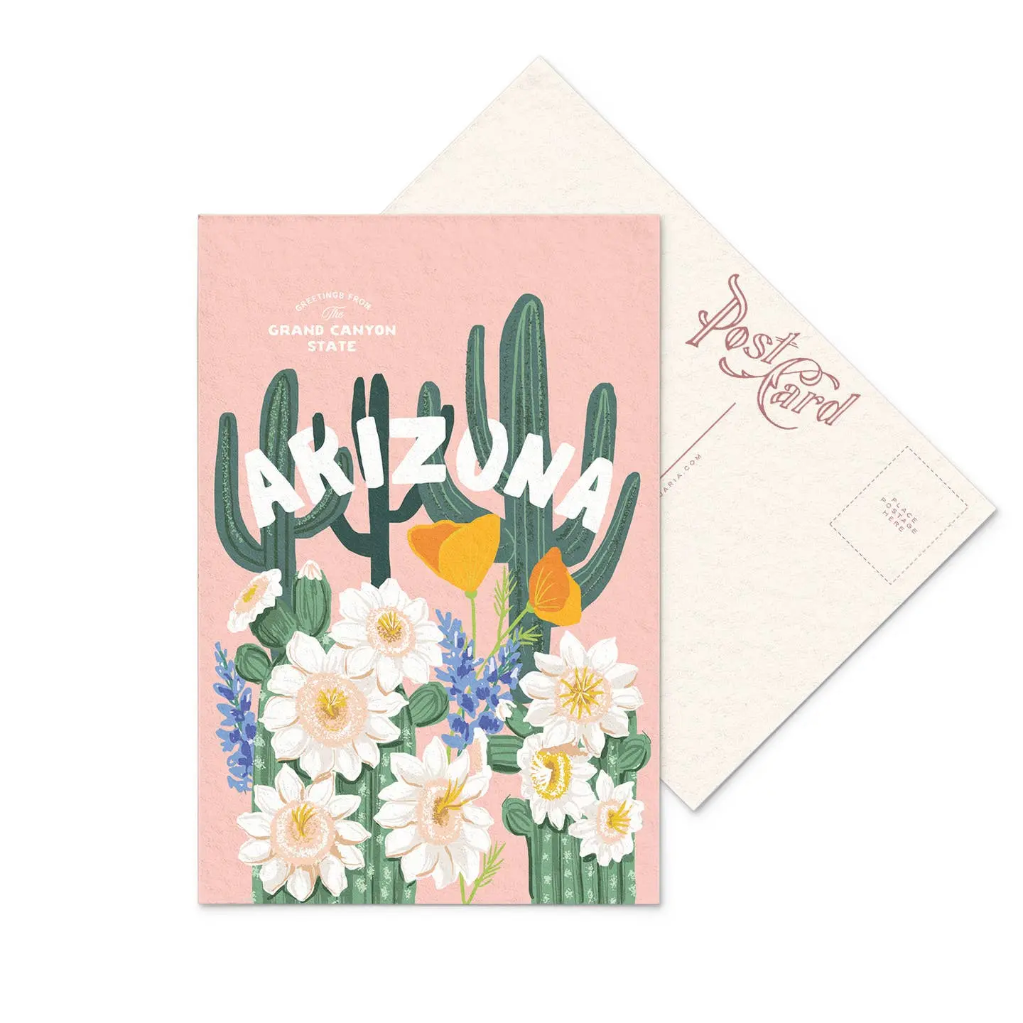 Arizona Wildflower State Postcard