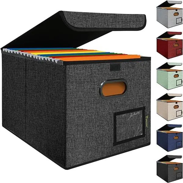 BALEINE File Organizer Box with Lid, Collapsible File Folder Organizer with Plastic Slide, Hanging File Folder Box for Office Document Storage (1 Pack, Black)