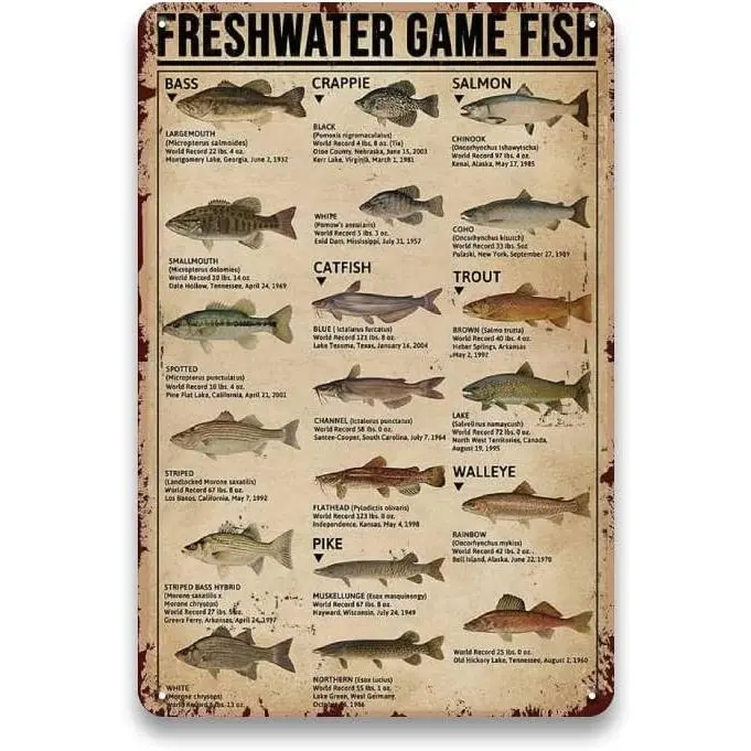 Metal Fishing Decor Wall Art - Freshwater Game Fish Sign, Vintage Fishing Hunting Sign for Boys Room, Cabin Lake House, Fishing Wall Decor Accessories, Boys Fishing Gifts, 8 x 12 inch