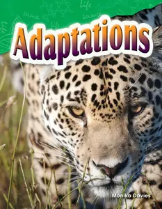 USED-Adaptations by Davies, Monika (Paperback)