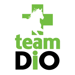 TeamDiO Iron-On Patch