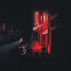 Neon Skyline - Andy Shauf - Record Album, Vinyl LP