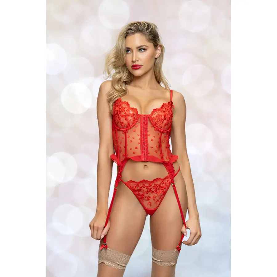 Two piece bustier set, Lace and heart mesh bustier with removable garters and G-string