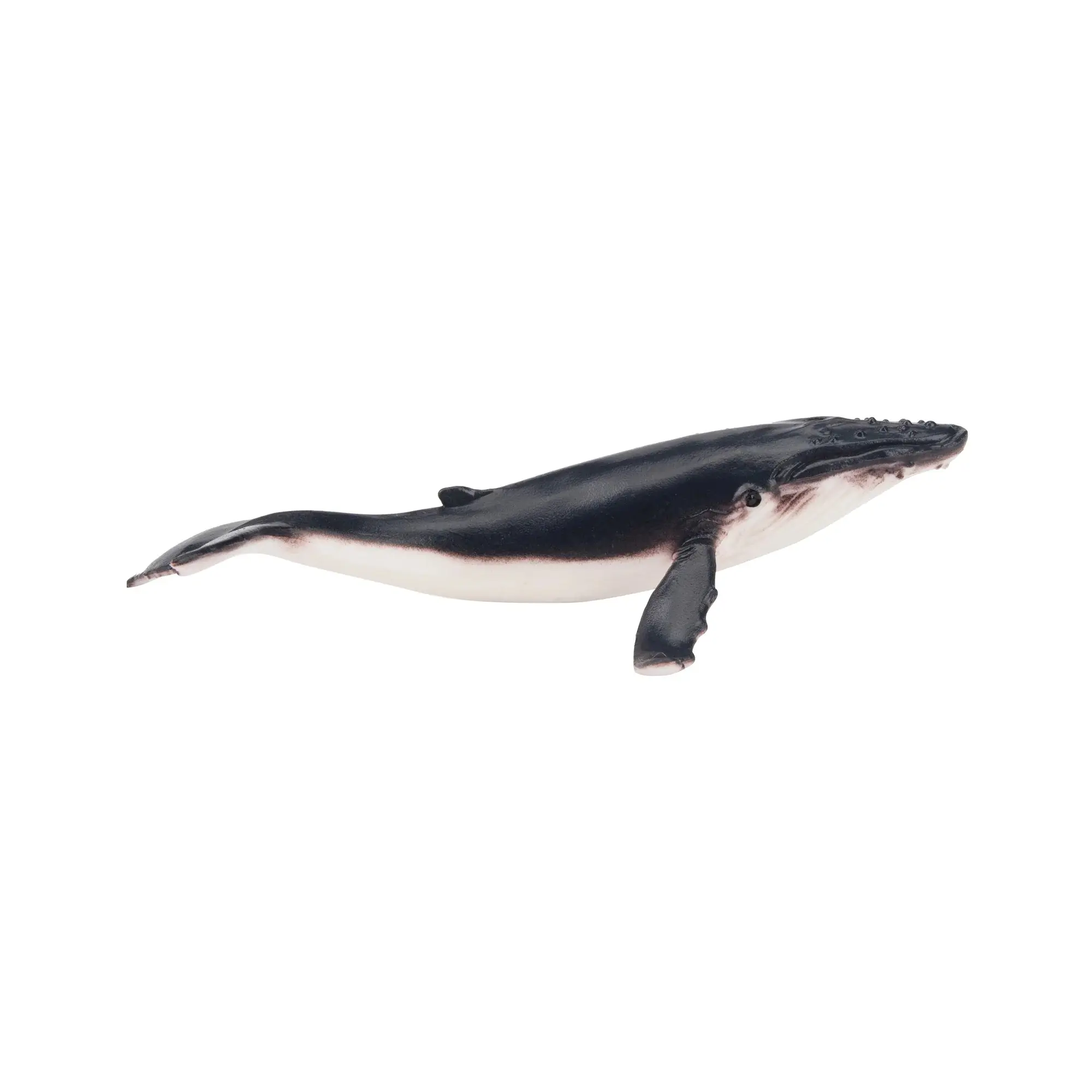 Toymany Hand-Painted Mini Humpback Whale Figurine - Unisex Realistic Marine Life Model, Ideal for Early Education, Room Decorations, Collectible & Thoughtful Gift (Toys & Hobbies Action Figure)