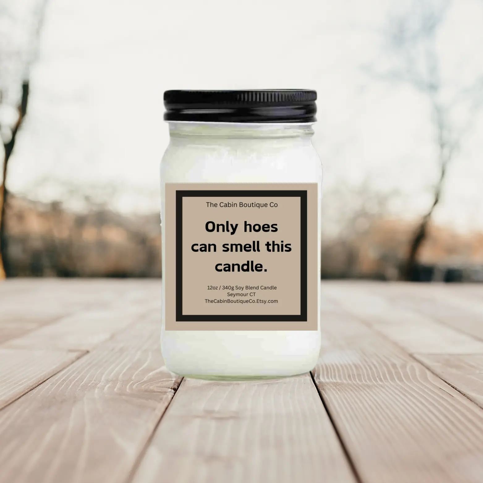 Only Hoes funny snarky sassy candles- 12oz Mason Jar - MANY SCENTS to choose!