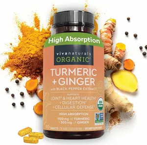 Turmeric and Ginger Supplement with Black Pepper for Better Absorption - Organic Turmeric Curcumin to Support Joint, Heart and Digestive Health, Non-GMO - 120 Tablets