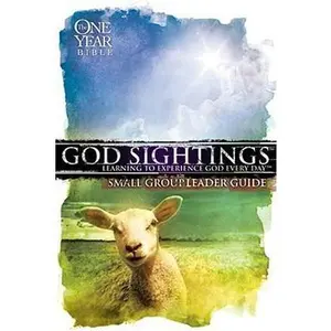 USED-God Sightings: Learning To Experience God Every Day (Small Group Leader Guide) by Group Publishing (Paperback)