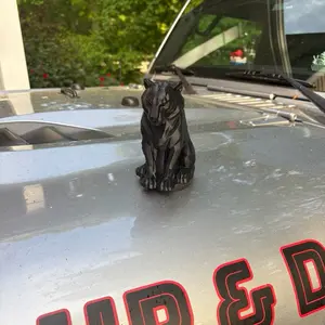 Edge Series Magnetic Tiger