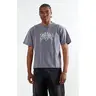 Pacsun Men's Torment Cropped T-Shirt