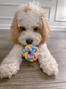 Pastel Ringing Puzzle Ball
