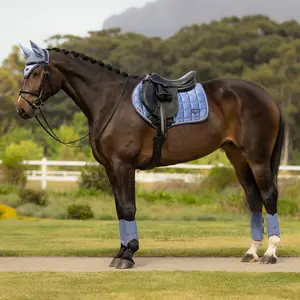IT08285 LeMieux Loire Classic Satin Close Contact Square English Saddle Pad - Powder Blue