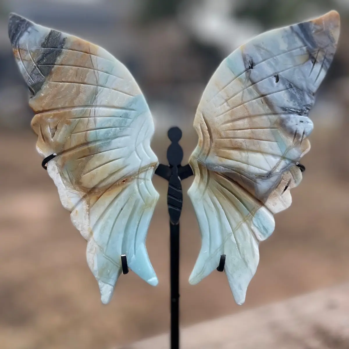 Caribbean Calcite  Butterfly Wings