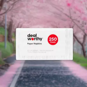 Disposable Paper Napkins 250ct - 2-Ply Paper Napkins, 250ct, for Parties Events, Soft Absorbent, Value Pack, Dealworthy