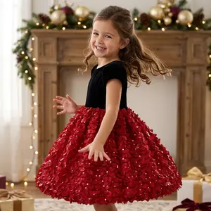C979 Ribbon Tulle Dress