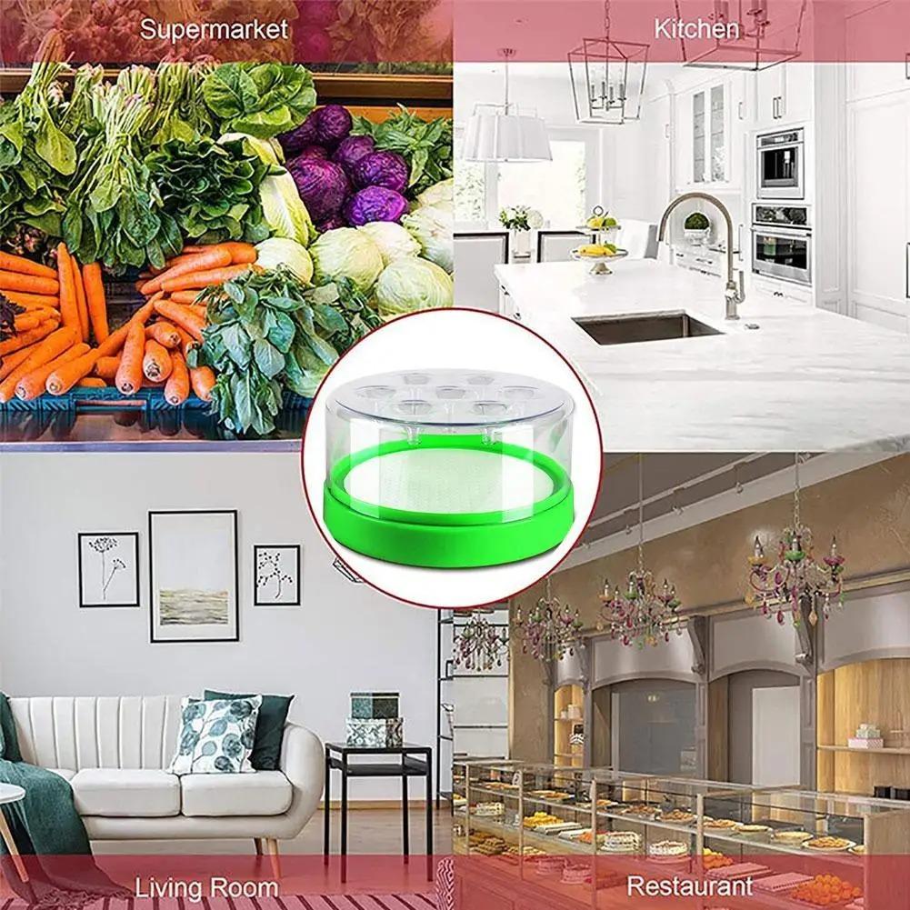 Reusable Outdoor Fly Trap for Patio Garden Home—Non Toxic Pest Control Cage with 7 Holes. Catches Wasps Flies Gnats Insects. Transparent Top Green Base. No Electricity Battery. Safe Effective Durable Plastic without Bait