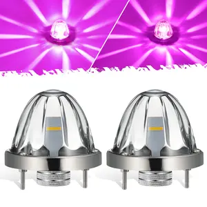 Partsam Glass Watermelon Lights Clear Lens Light 2Pcs