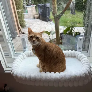 Folding Cat Hammock for Window - Cordless, Machine Washable Bed, Robust Metal Frame, Strong Suction Cups，Cat Window Perch for Cats and Small Dogs