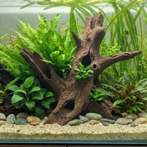 Aquarium Terrarium Driftwood Tree Stump Root Aquarium Terrarium Driftwood Tree Stump Root