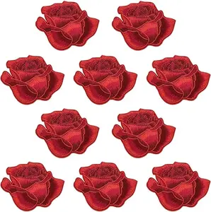 10 Pieces Rose Flower Iron on Patches, Delicate Rose Embroidery Applique Patches for Bag ,Caps, Kid's Clothing, Jeans, Jackets (K50_1)
