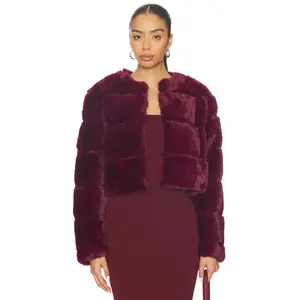 BLANKNYC Cropped Faux Fur Coat in Page Turner