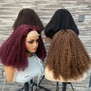 YWhair Wear & Go Brazilian Hair Afro Kinky Curly Colors Wig 5*5 Transparent Lace Vendor 100% Human Hair Wigs for Black Women