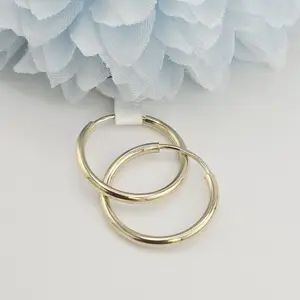 Earrings 10kt