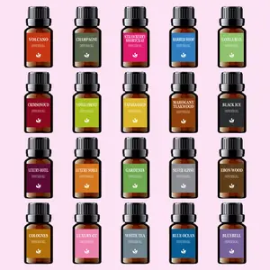 20PCS Essential Oil Set - Long Lasting Scent Perfume Air Freshener Fragrance Refill Liquid, Aroma Diffuser Humidifier,Home&Car Fragrance,Car Interior Accessories Gift Set