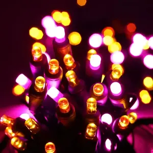 50 5mm ColorSplash Candy Pink, Orange, Gold LED Christmas Lights, 6" Spacing