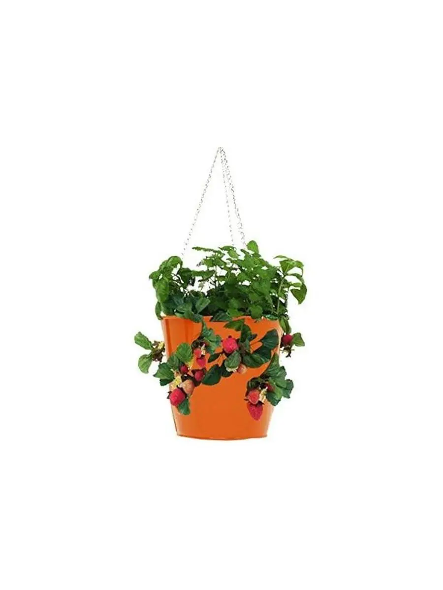 Tangerine Enamel Finish Galvanized Steel Round Pot Hanging Planter for Strawberries, Herbs, Florals