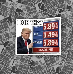 I Did That, FDT Sticker Pack - Political Humor, Funny Meme Gift - Anti Fascist Anti Racist Gift