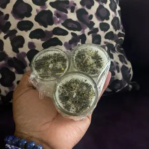 Blockbuster Manifestation/ Ritual Candles