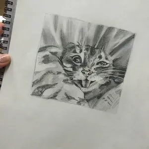 A cat drawing!