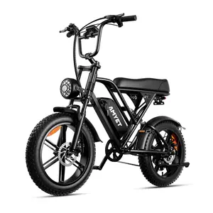 AMYET G60 Electric Bike 1000W – 48V Battery – 32MPH Top Speed – 70 Mile Range – 20” Fat Tire E-Bike