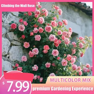【2026NEW】200 Pcs Climbing Rose Seeds for Planting Outdoor-Perennial Rare Rose Flowers Plant for Your Grarden Home