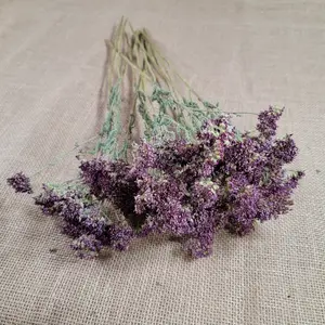 Dried Yarrow Flowers, Achillea MillefoliumWhite,   Dried Wildflowers, Autumn Vase Flowers, Bunch of 15 stems