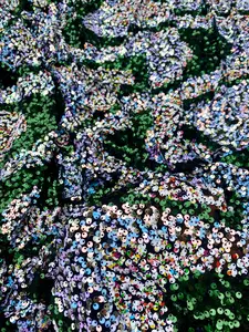 Rainbow Iridescent Sequin On Mesh