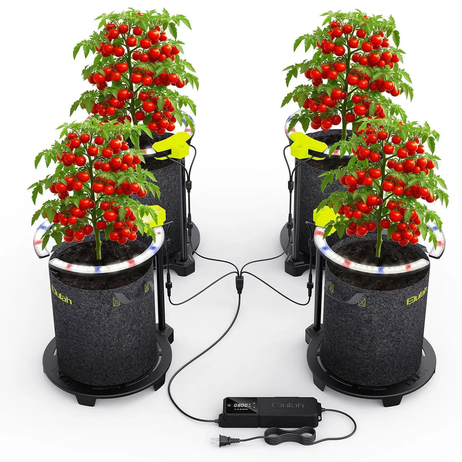 Saturn960 Under Canopy LED Grow Light 4 Ring Lights with 96W Adapter for Home Growers