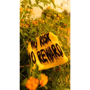 Mohair No Risk No Reward  Beanie hats