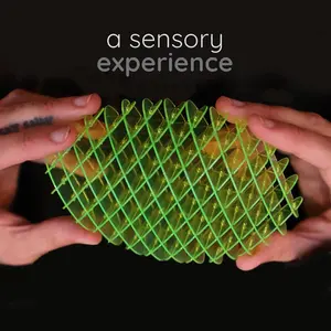 Flexible 3D Sensory Head Toy, Upgraded Worm Toy for Stress Relief & Anxiety Reduction, Ideal Gift for Play School Work Settings