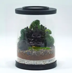 Jungle Buddha Terrarium Kit | MINI