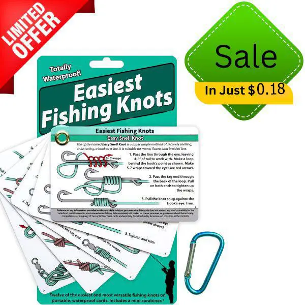 bass fishing lure brands TRUSCEND Fishing Lures for Bass Trout Double Floating Rotating Tail To   Zoom Zoom Parts
